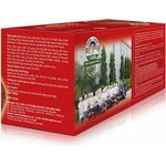 HUNG PHAT Reishi Mushroom Tea 25 x 2 g