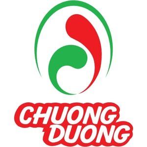 CHUONG DUONG